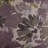 Spring Meadow Fabric-53164436