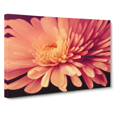 Gorgeous Chrysanthemum Flower - Wrapped Canvas