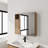 Bathroom Mirror Cabinet with Storage