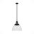 Cypress Grove 1 Light Dome Pendant?-71473840-91296811
