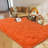 4x6 ft Shag Rugs for Living Room, Soft Orange Area Rug, Non-Slip Carpet for Bedroom Nursery Kids Play Room Dorm Office-875416790