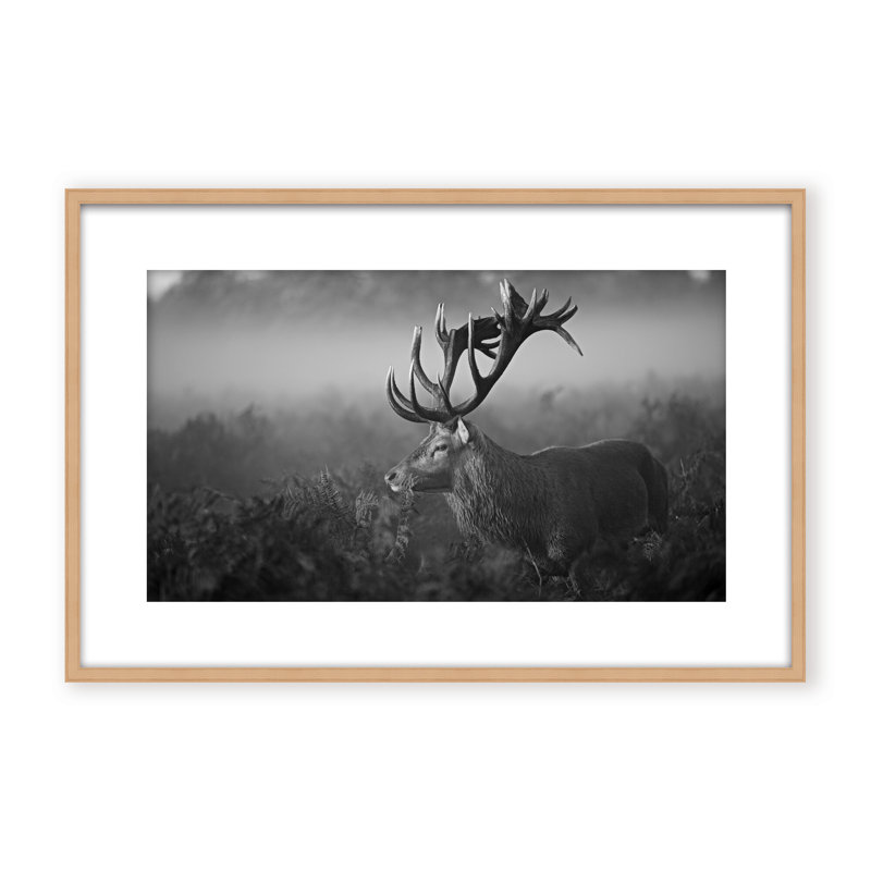 Nature Inspired Sunny Morning by  - Picture Frame Photograph on Paper, 16" H x 24" W x 2.375" D, Framed Canvas, Black