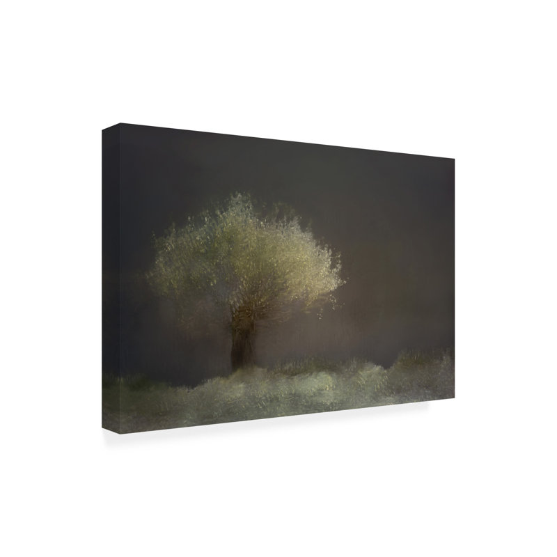 Art sur toile Mariruth Gaille, H 12 po x l 19 po x P 2 po