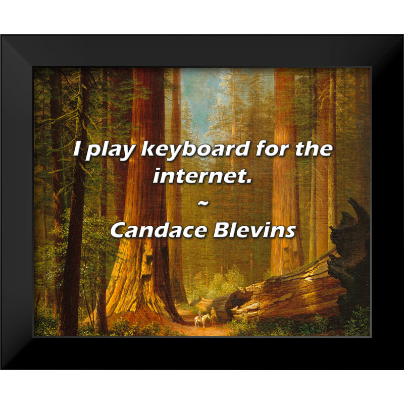 Citation de Candace Blevins: Je joue du clavier pour Internet.