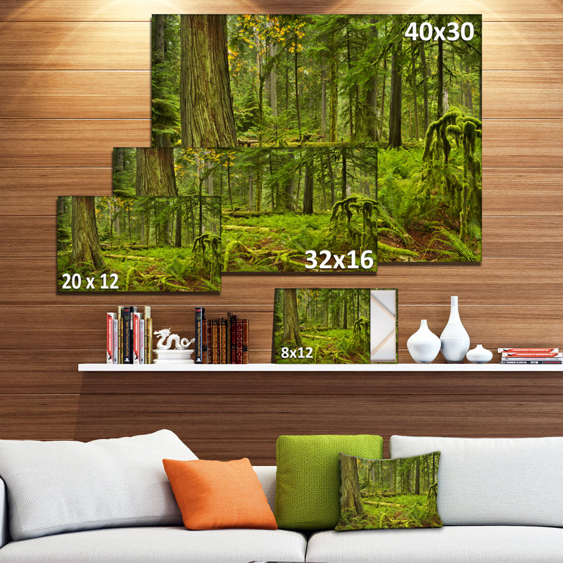 «Lush Rainforest in Cathedral Grove», reproduction de photo sur toile, H 30 po x l 40 po x P 1 po, Toile tendue