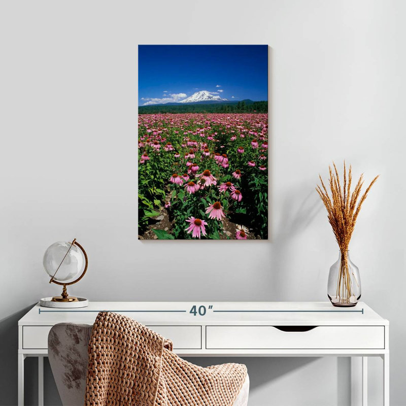 Harnek Echinacea Field, 24" H x 16" W