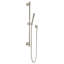 Belshire Personal Shower Faucet-60946073