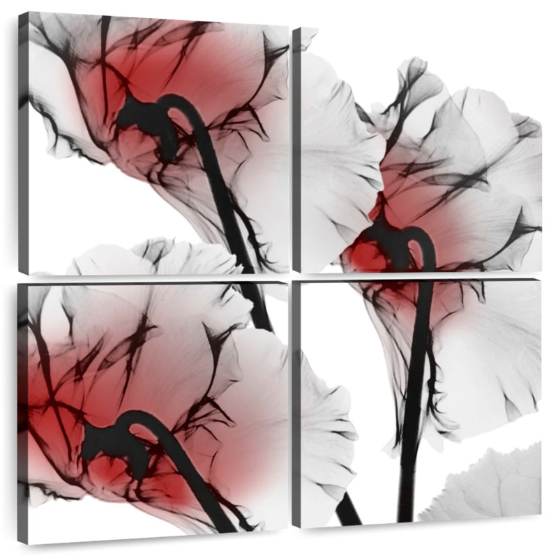 Harnek Crimson Luster Cyclamen, 57" H x 57" W