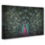 Mesmerising Pink And Green Peacock - Wrapped Canvas-55311221