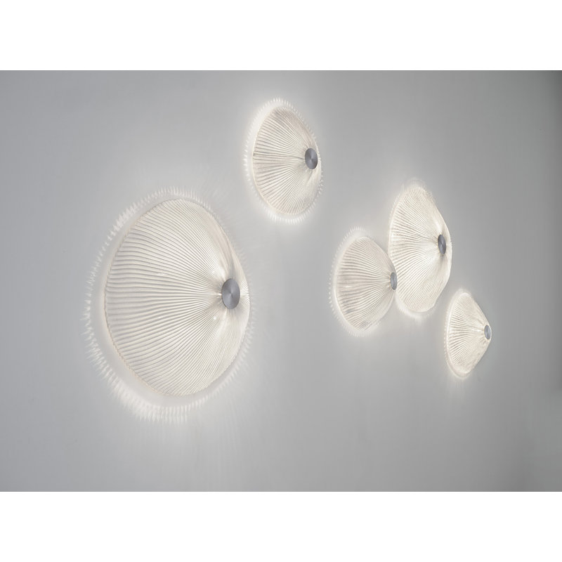 Onn Wall Sconce