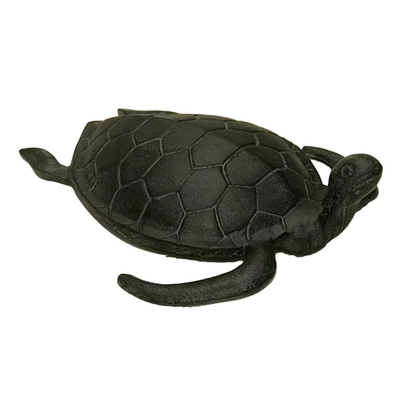 Curieuse tortue de mer - Patine