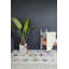 Panier en tissu pour plantes-66903382