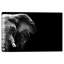 Goliath - impression sur toile tendue