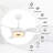 Aroz 60'' Ceiling Fan with LED Lights-1192084734