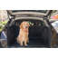 Enclos pour chien