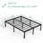 Kutztown 18'' Bed Frame-1364575875