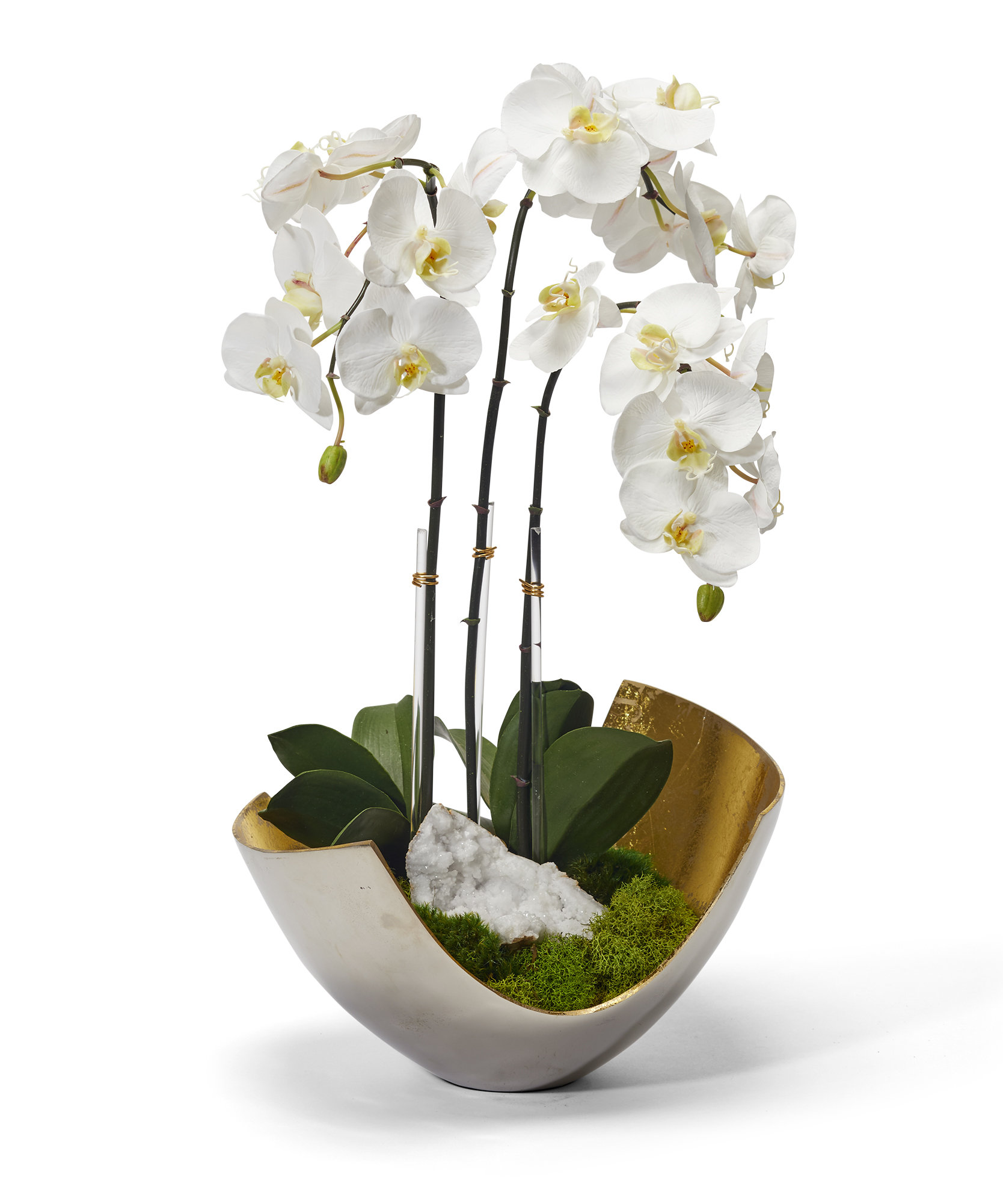 T&C Floral Company Orchids Floral Arrangement in Vase | Perigold