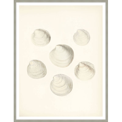 Sea Trinkets 1 Framed Print