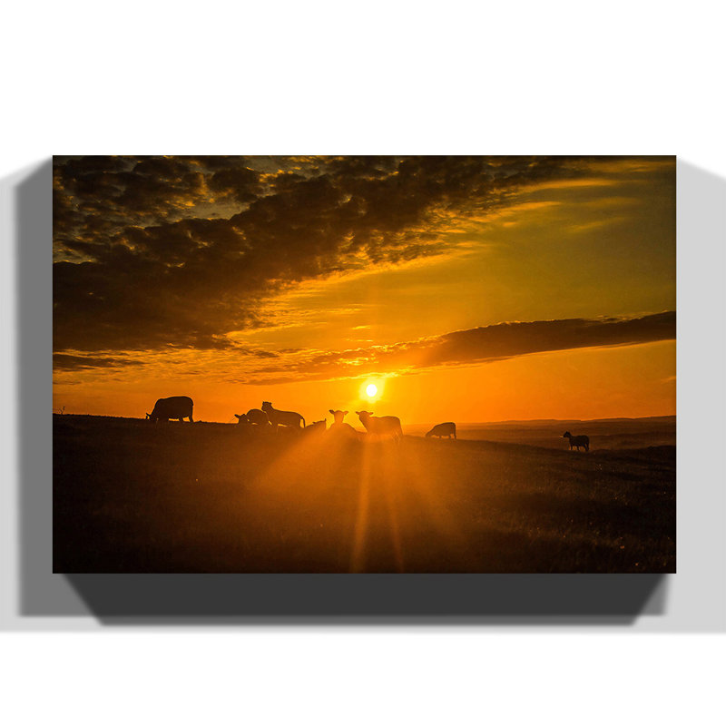 Wrapped Canvas Print, 50cm H x 76cm W