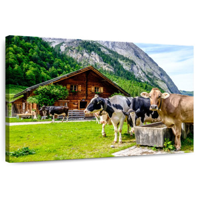Brampt Karwendel Cows