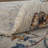 Benedetto Oushak Ivory/Blue Rug-359044866