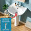 Lavabo sur pied en porcelaine vitrifiée en forme de U l 21 po x P 19 po, 1 trou de robinet et trop-plein, blanc-111972569