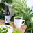 Stone Lain Albie 32-Piece Dinnerware Set Stoneware-48800306
