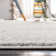 Willena Performance Oriental Rug