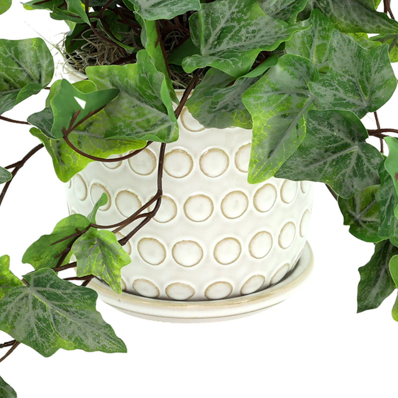 Toscani Faux Ivy Plant in Ceramic Pot