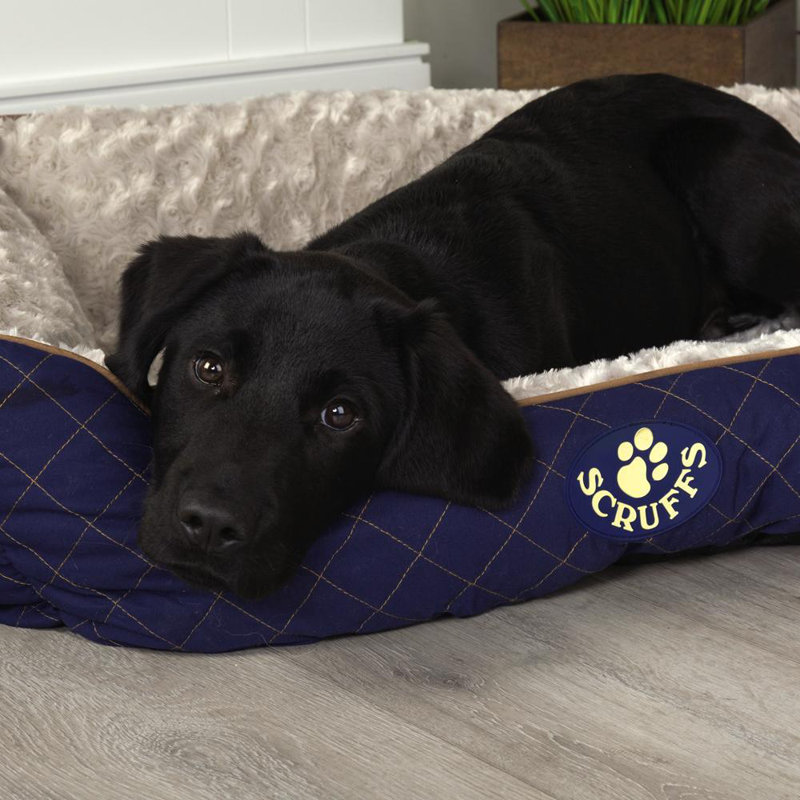 Wilton Pet Bed, 16cm H x 50cm W x 40cm D, Blue/White