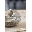 Cresa Nesting Bird Dish Set of 2 9" x 7.5" x 5" Brown