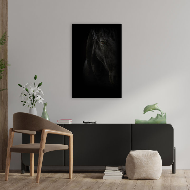 Perle noire - photographie, animaux, chevaux, H 36 po x l 24 po