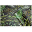 Rouleau floral tattva