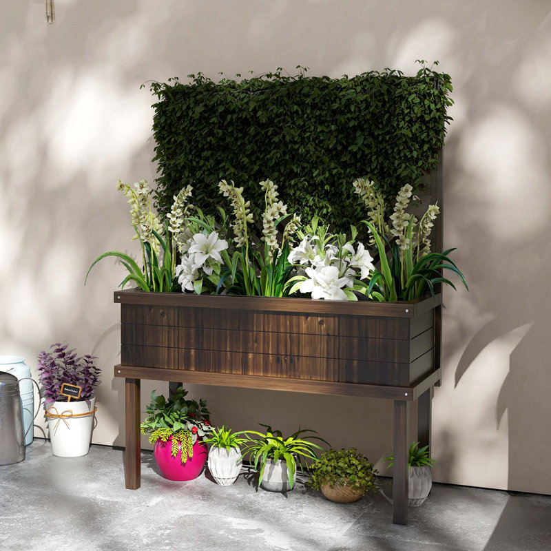 Lit de jardin surélevé exceptionnel pour plantes en plein essor et belles cours