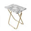 Tray Table