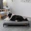 Dunlop Orthopedic Cotton Pet Bed