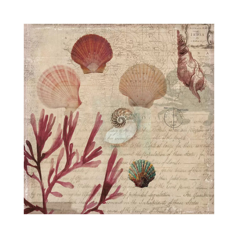 Coral III by Aimee Wilson - Wrapped Canvas Print, 93.98 cm H x 93.98 cm W x 3.175 cm D