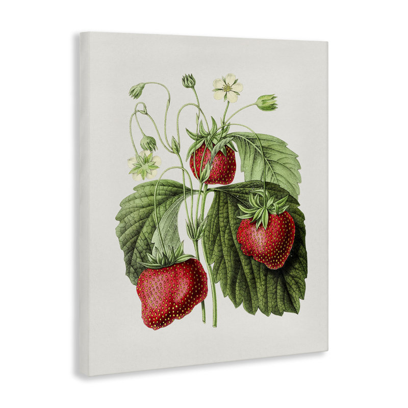 Art mural rétro sur toile par Strawberries, H 20 po x l 16 po