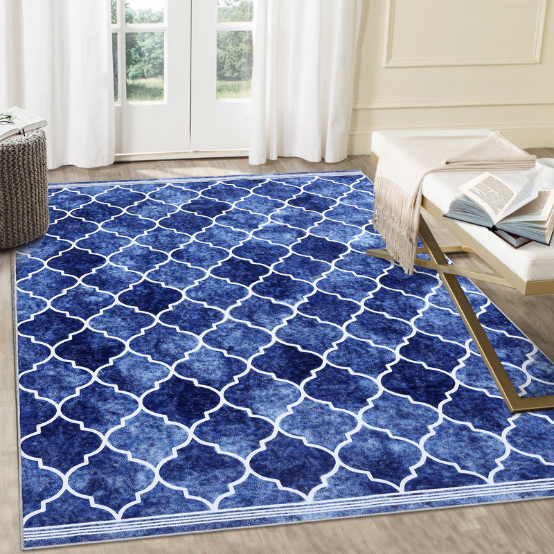 Ranisav Washable Moroccan Indoor Rug, Rectangle 5' x 7'