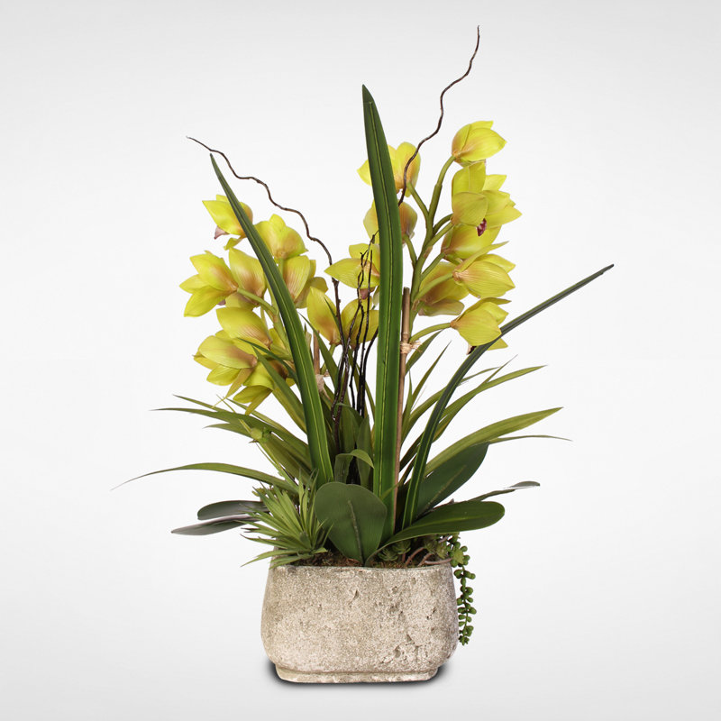 Arrangement floral cymbidium et artificiel plantes grasses en pot