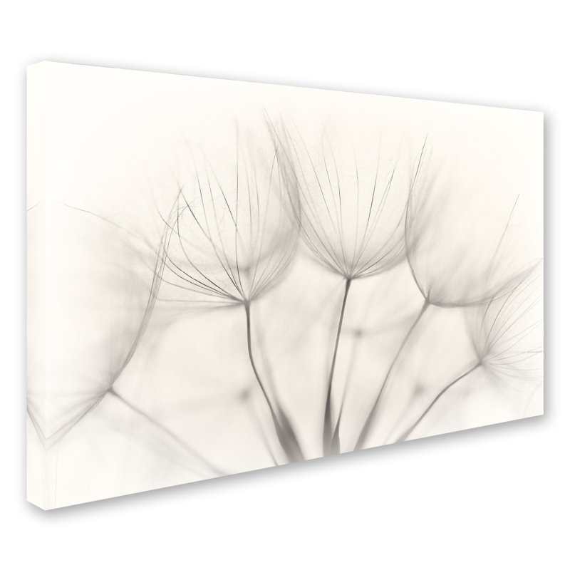 « untitleed », reproduction d’impression sur toile tendue, H 12 po x l 19 po