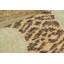 Distressed Homage Animal Print Area Rug-706995025