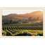 Wine Country Haze 2 Print by Nathan Turner