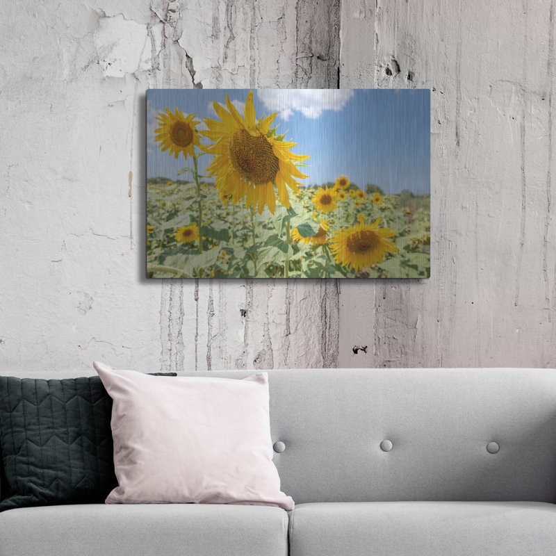 «Sunflowers I» par Richard Silver, H 24 po x l 36 po