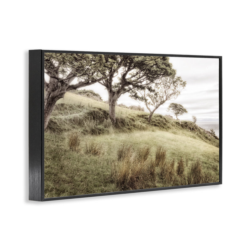 Giclée irlandaise encadrée paysage irlandais, design par Andy Amos, H 16 po x l 24 po, Giclée encadrée noir minuit