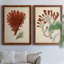 Toile encadrée antique rouge corail-1840494390-1840494411-1840255110