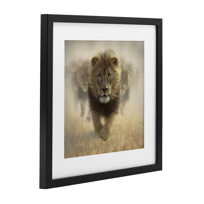«Eat My Dust Lions», reproduction encadrée sous verre, conception de Collin Bogle, H 13 po x l 13 po, Cadre noir minuit
