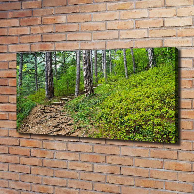 Forest Track - Wrapped Canvas Print