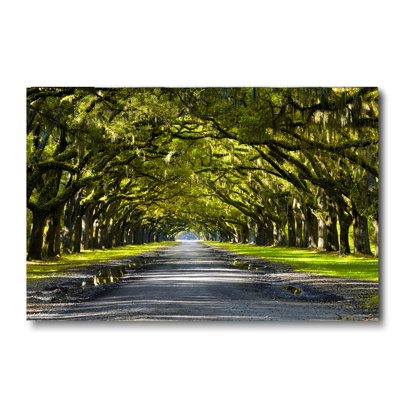 The Path Home Print