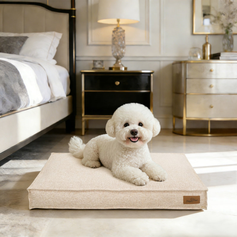 Pet Bed Firm Support Crate Mattress, Small (10cm H x 75cm W x 50cm D), Beige